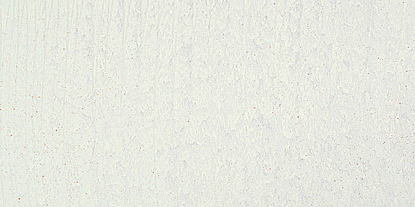 Mount Vision Soft Pastel - Warm White 2 swatch
