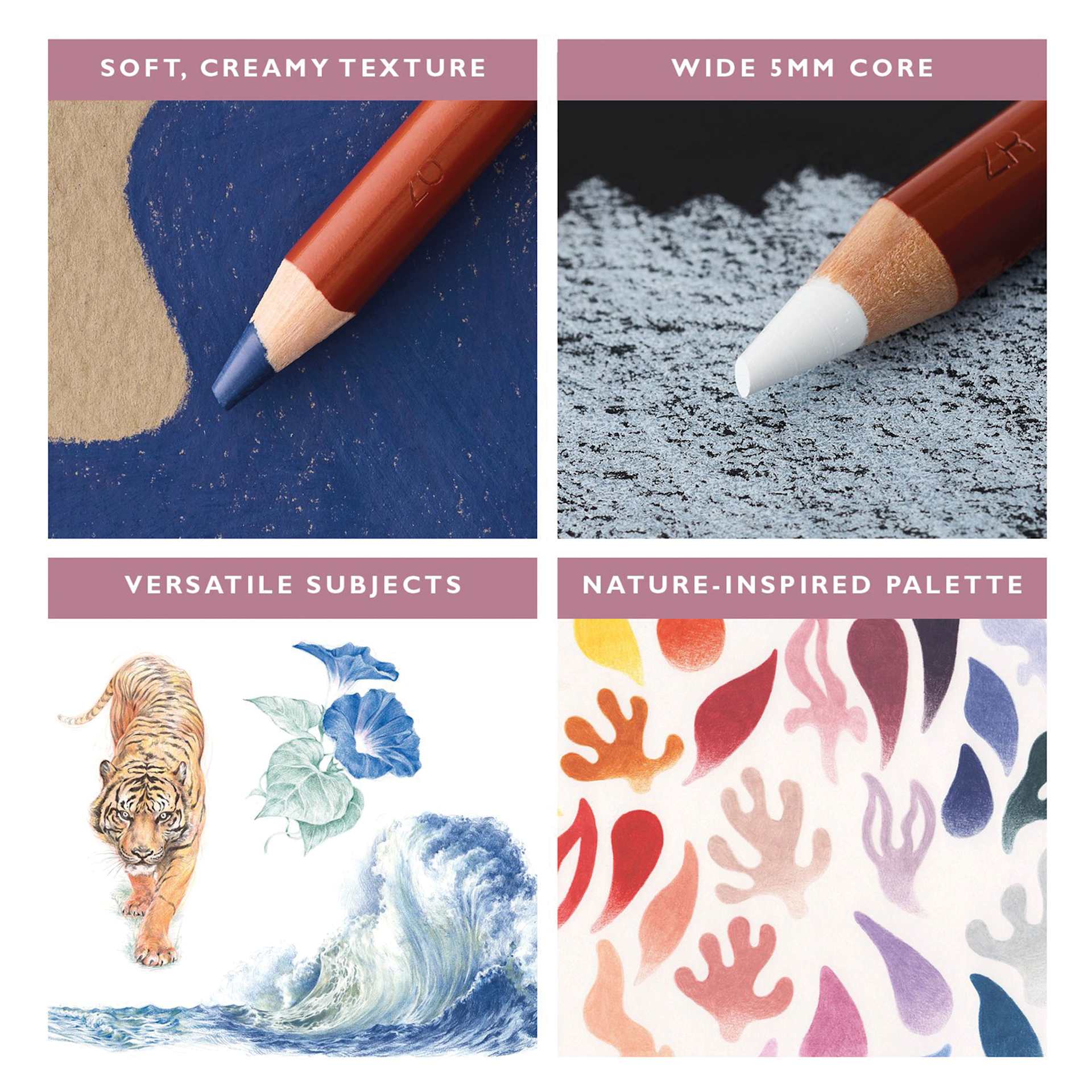 Soft, creamy texture. Wide 5 mm core. Versatile subjects. Nature-inspired palette.