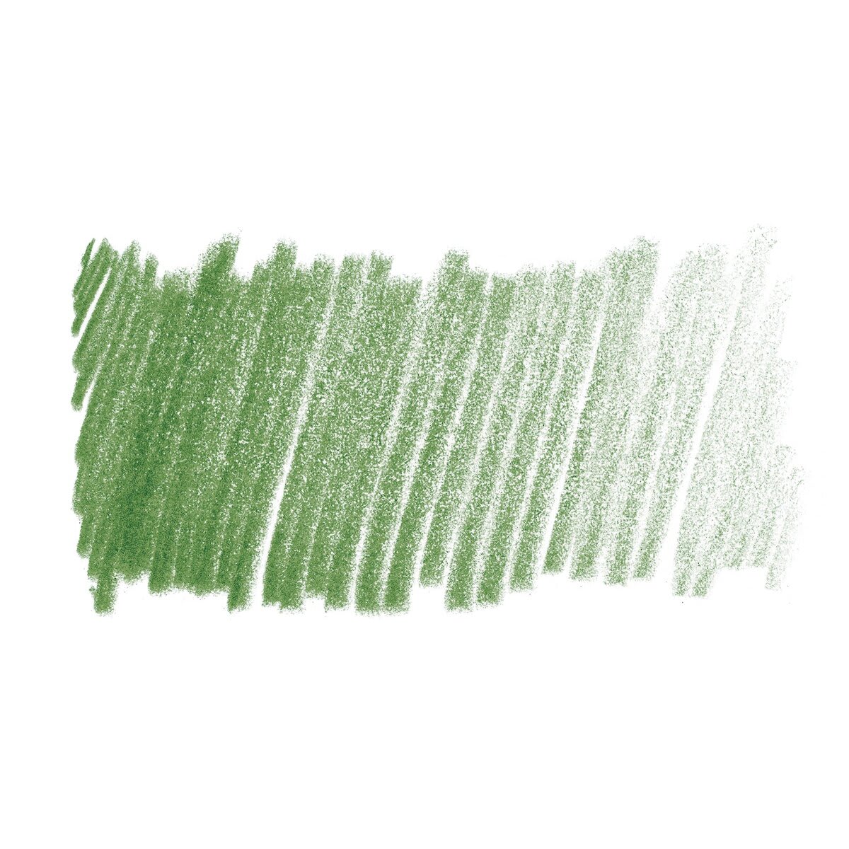 Lyra Rembrandt Polycolor Premium Oil-Based Colored Pencil - Sap Green swatch