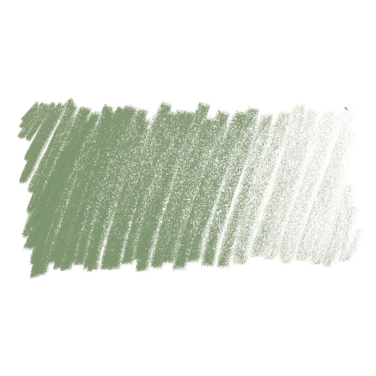 Lyra Rembrandt Polycolor Premium Oil-Based Colored Pencil - Green Earth swatch