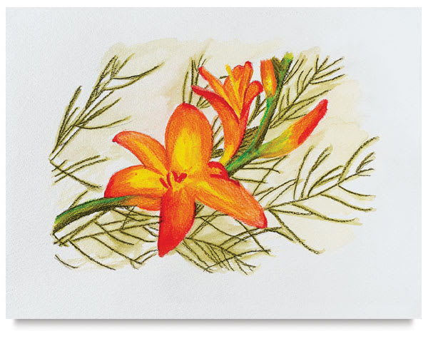 Finished artwork with Inktense pencils. Finished artwork with Inktense pencils.