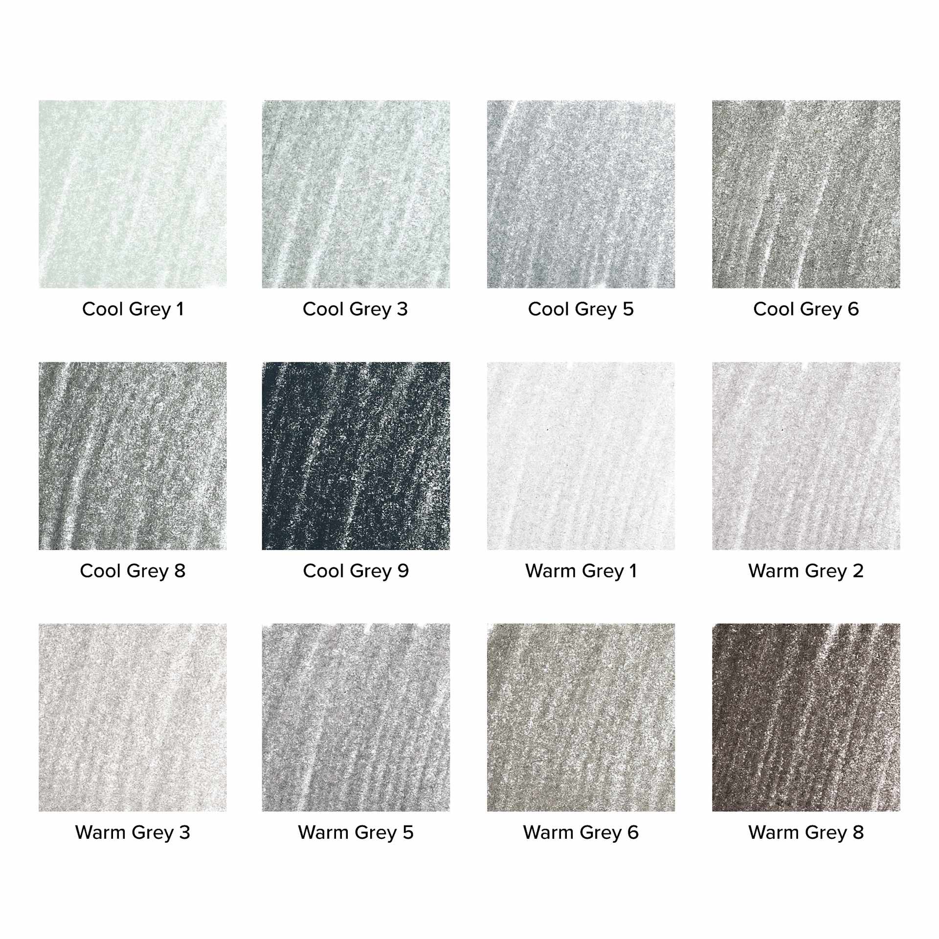 Blick Studio Artists' Colored Pencil Set - Greys, Set of 12, swatches Blick Studio Artists' Colored Pencil Set - Greys, Set of 12, swatches