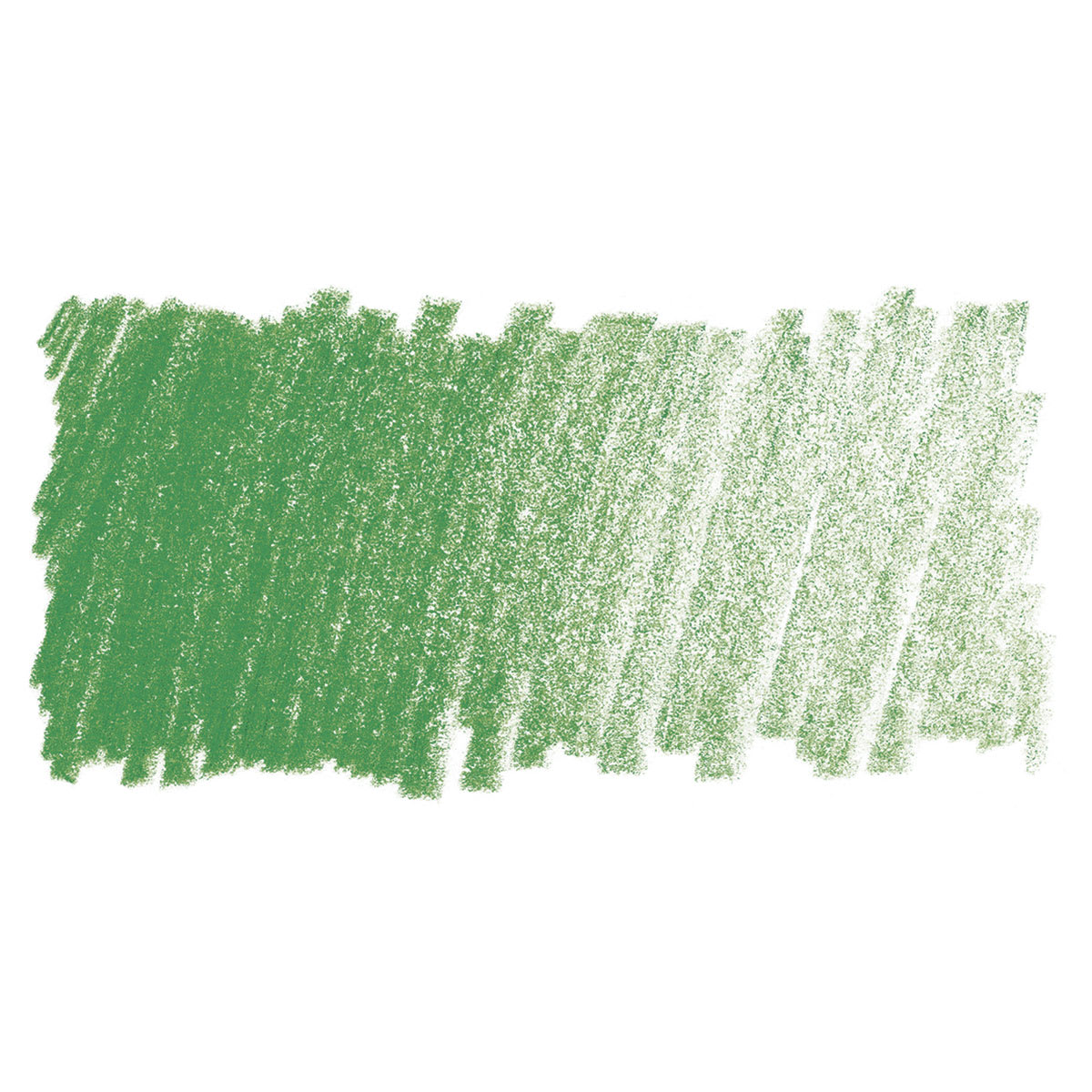 Blick Studio Artists' Colored Pencil - Sap Green swatch