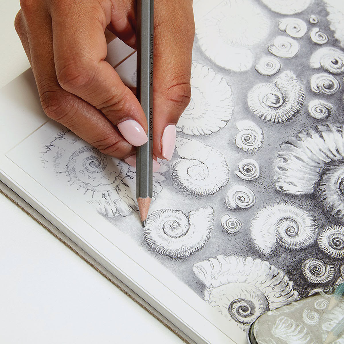 Derwent Academy Sketching Pencil shown in use, drawing shells
