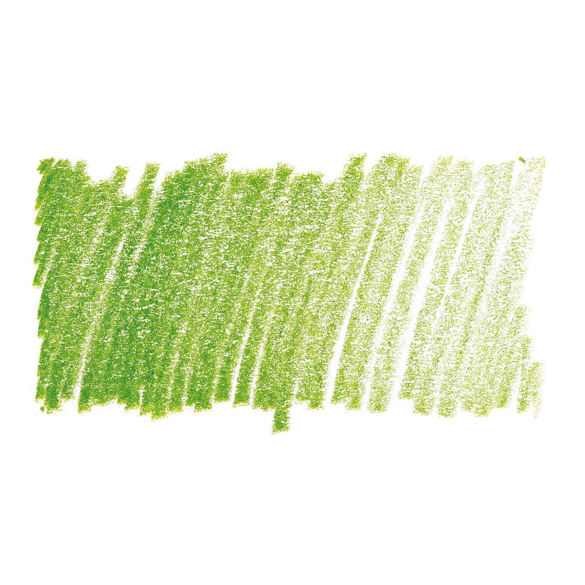 Caran D'Ache Museum Aquarelle Pencil - Light Olive swatch