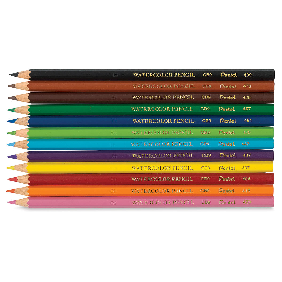 Pentel Arts Watercolor Colored Pencils - Components of package of 12 shown horizontally Pentel Arts Watercolor Colored Pencils - Components of package of 12 shown horizontally