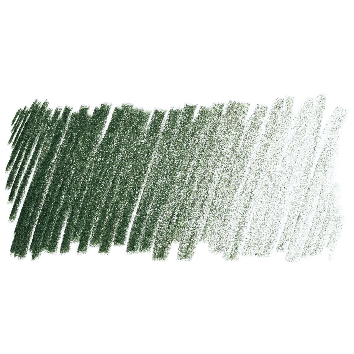 Derwent ProColour Colored Pencil - Cedar Green swatch