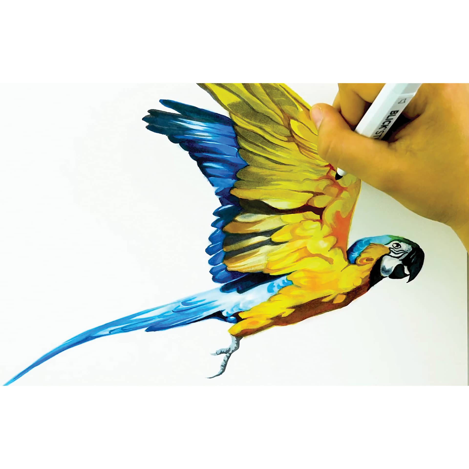 Blick Studio Brush Marker being used to draw a bird.