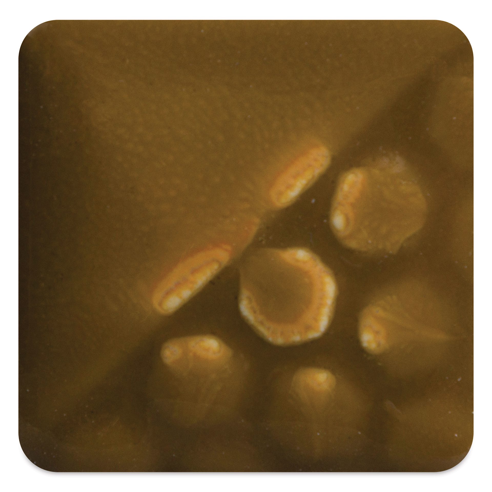 Mayco Elements Glaze - Spanish Moss, fired at cone 6 oxidation