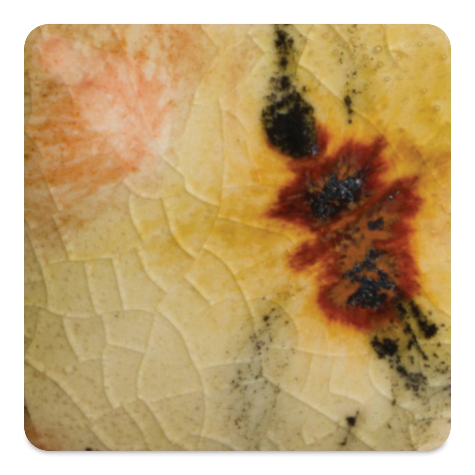 Mayco Crystalite Glaze - Safari, fired to Cone 6 oxidation