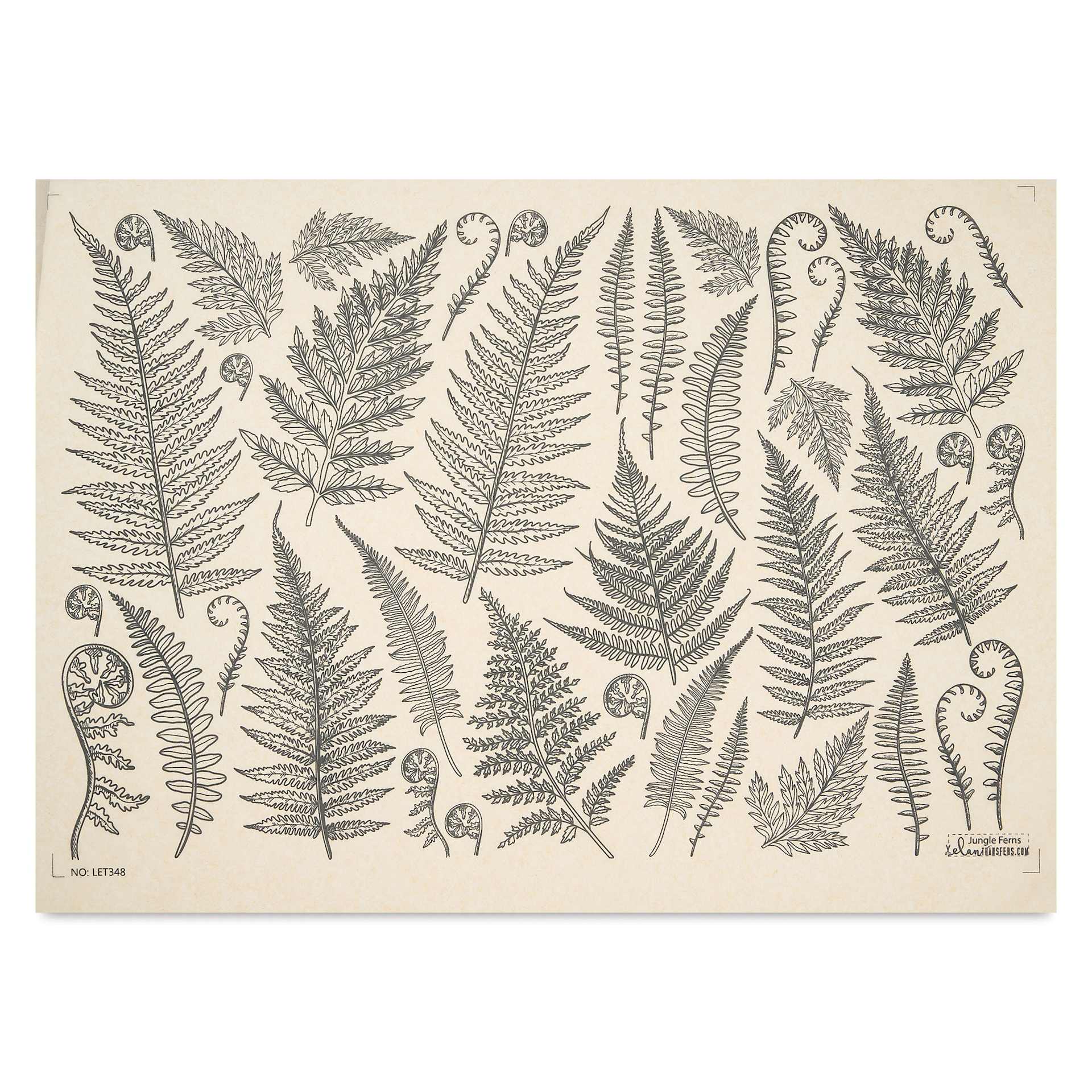 Elan Transfers Underglaze Transfer Sheet - Jungle Ferns, Black