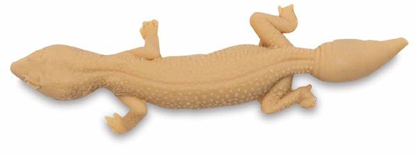 Gecko