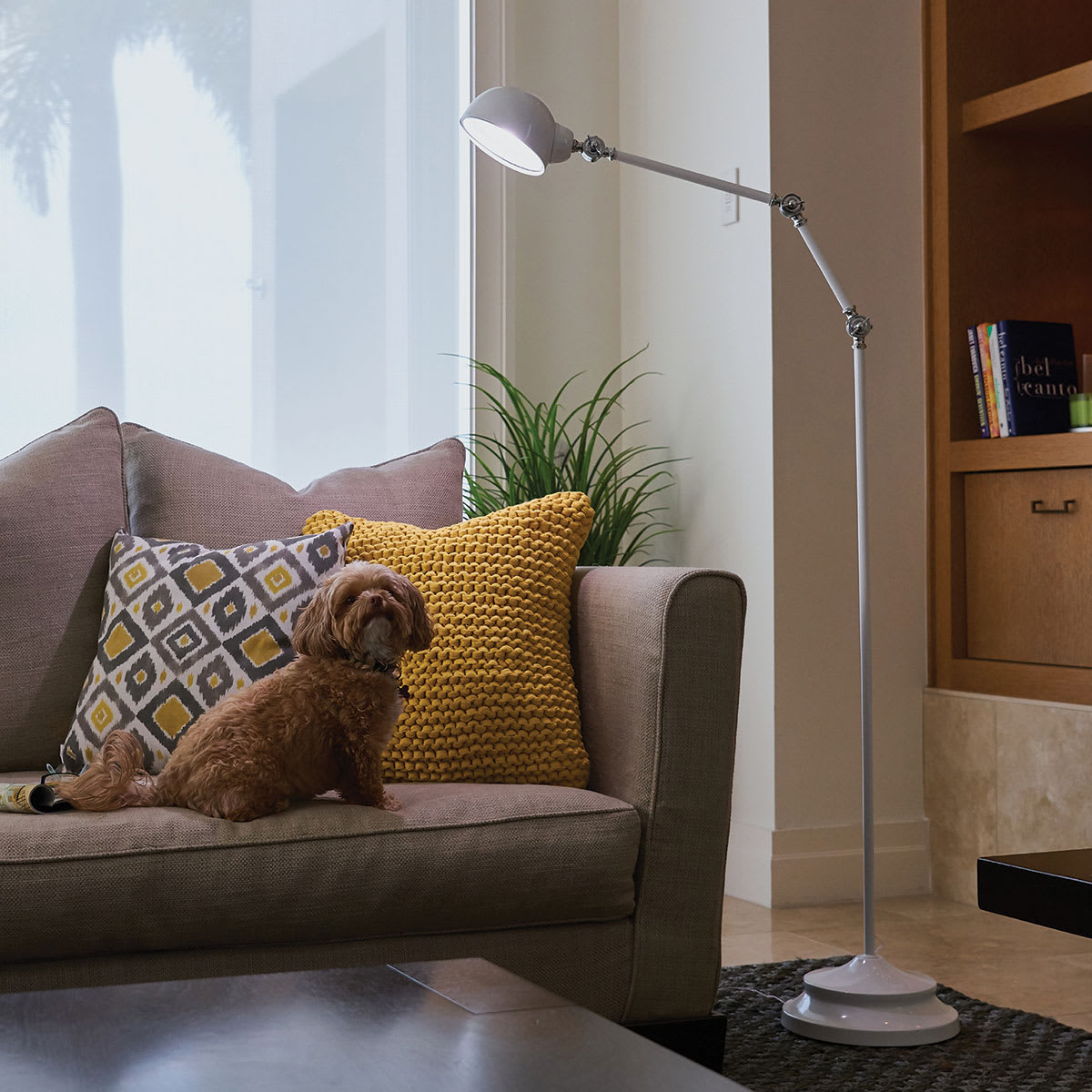 OttLite LED Revive Floor Lamp - Photo of dog sitting under lamp on sofa OttLite LED Revive Floor Lamp - Photo of dog sitting under lamp on sofa