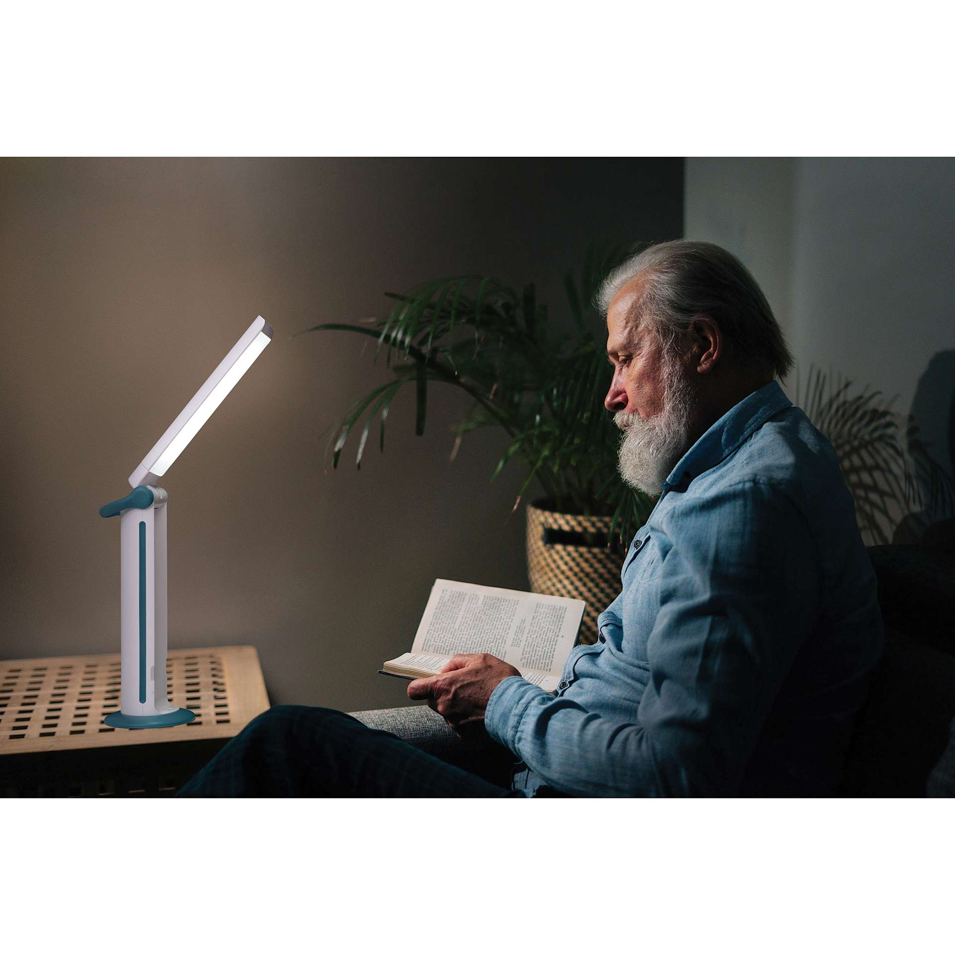 Daylight Twist 2 Go Lamp (in use inside darkened room)
