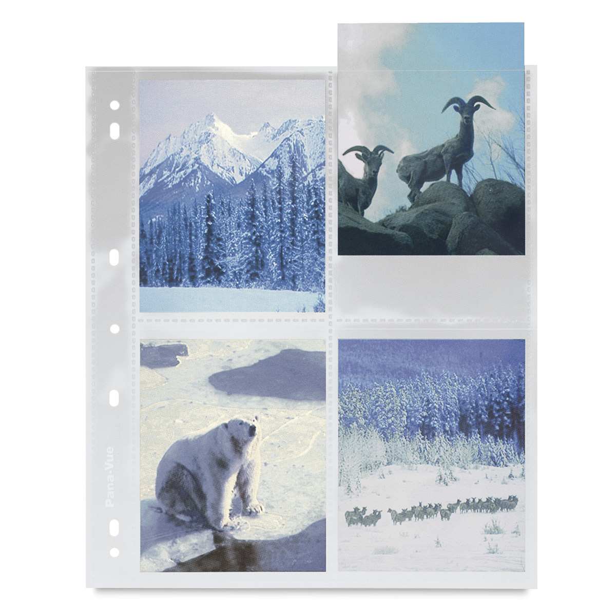 Pana-Vue Archival Pages - Sleeve for 4" x 5" prints shown