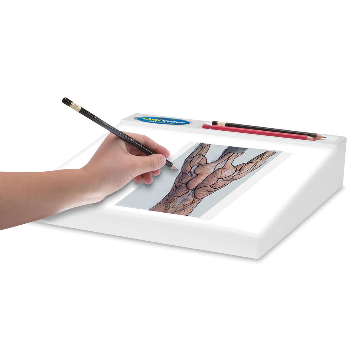 Artograph LightTracer Light Box - 10" x 12" (Person tracing muscles) Artograph LightTracer Light Box - 10" x 12" (Person tracing muscles)
