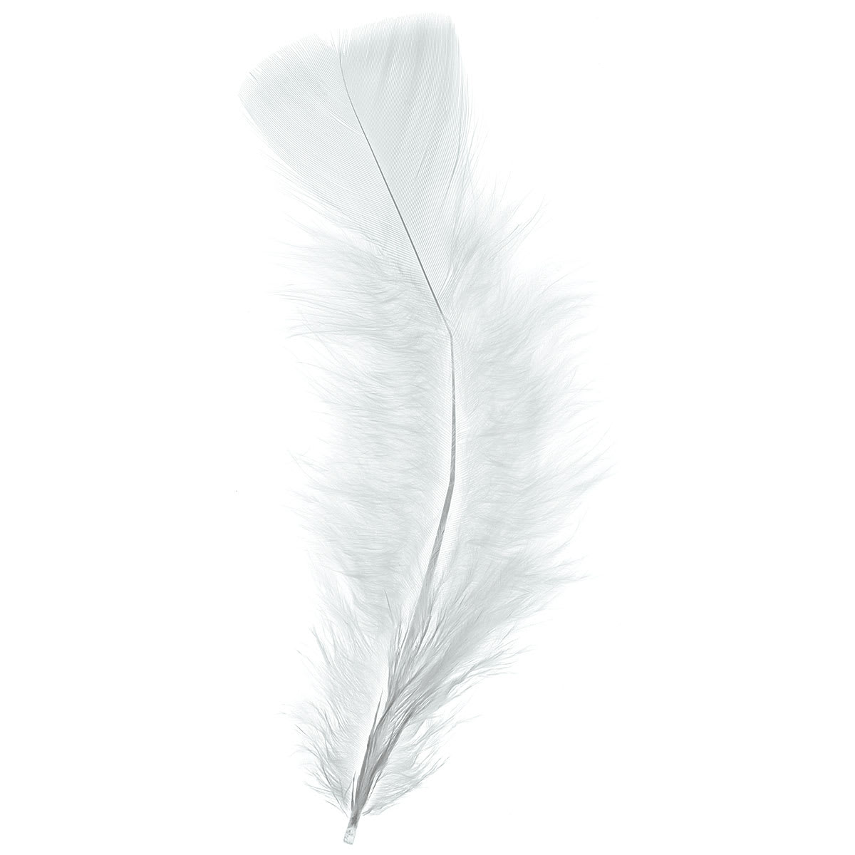 Plumage Feathers, 0.5 oz Pkg, White