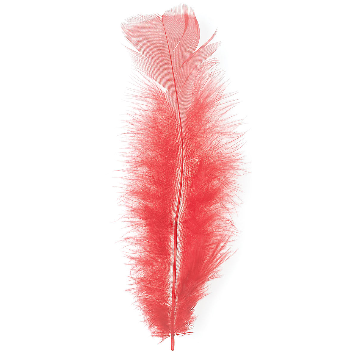Plumage Feathers, 0.5 oz Pkg, Red