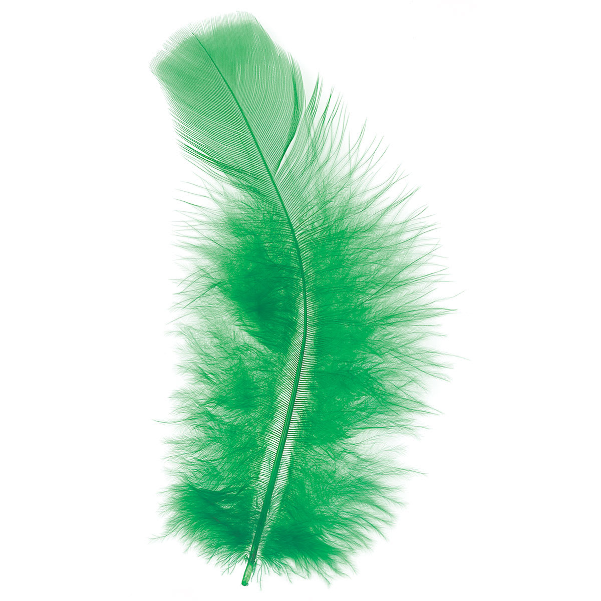 Plumage Feathers, 0.5 oz Pkg, Kelly Green