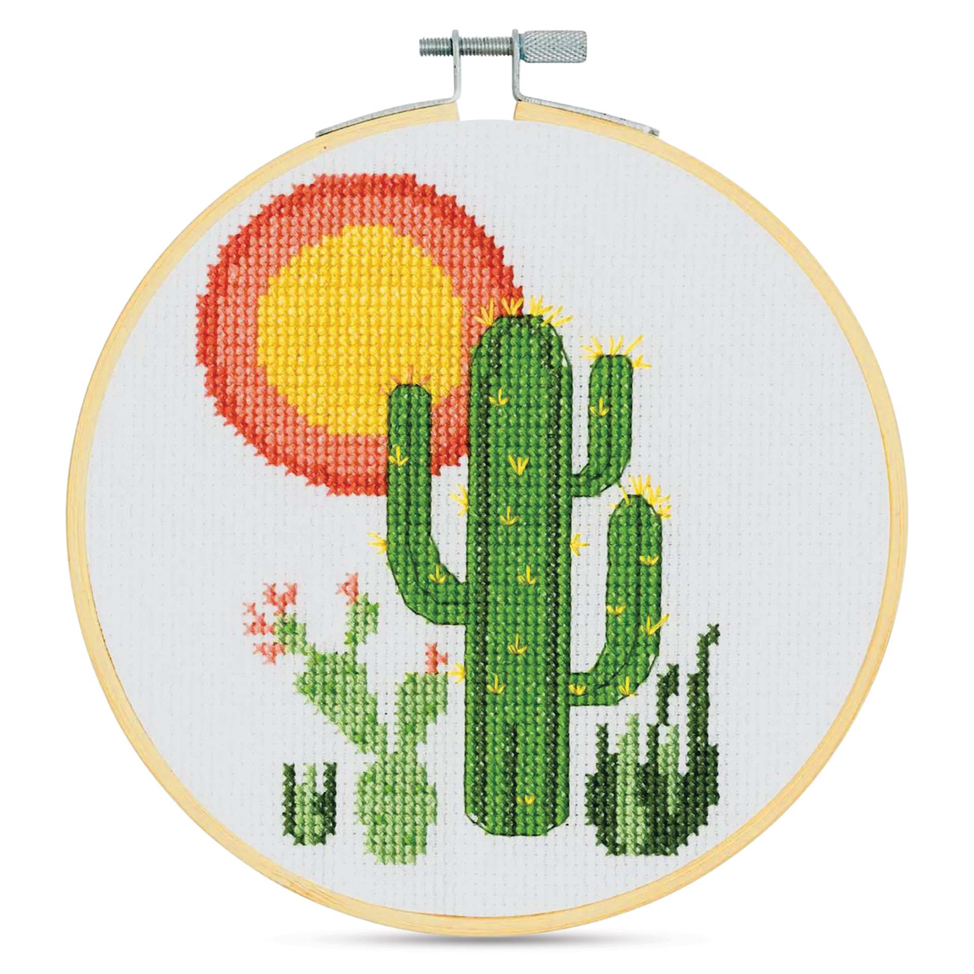 DMC Stitch Kit - Cactus, finished kit