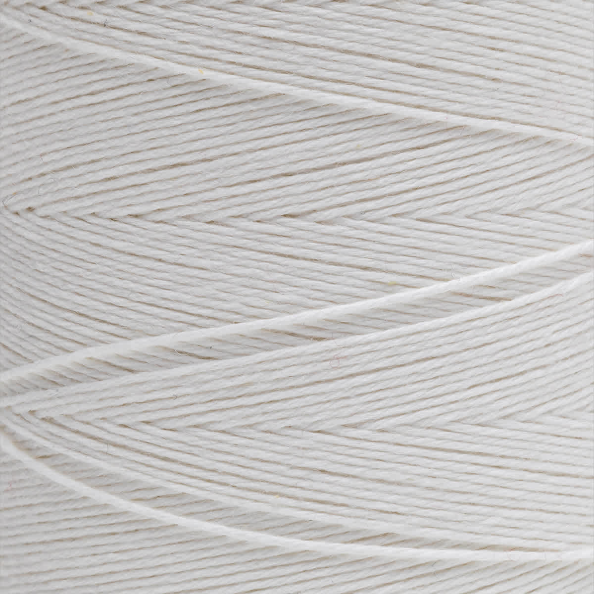 Maysville Cotton Warp - 800 Yards, White - close-up