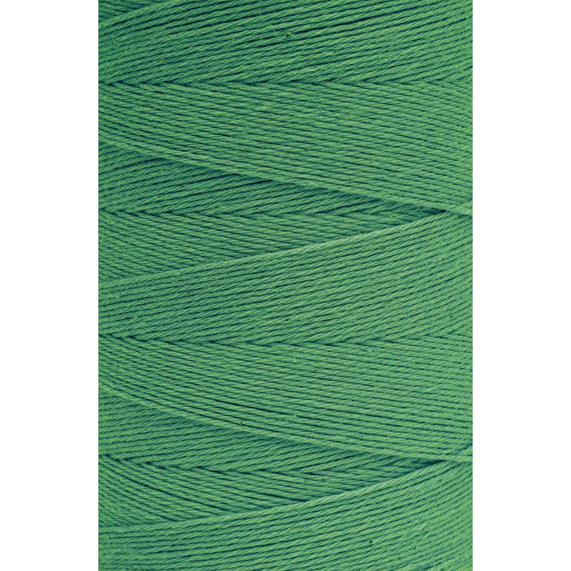 Maysville Cotton Warp - 800 Yards, Myrtle Green close up to show texture