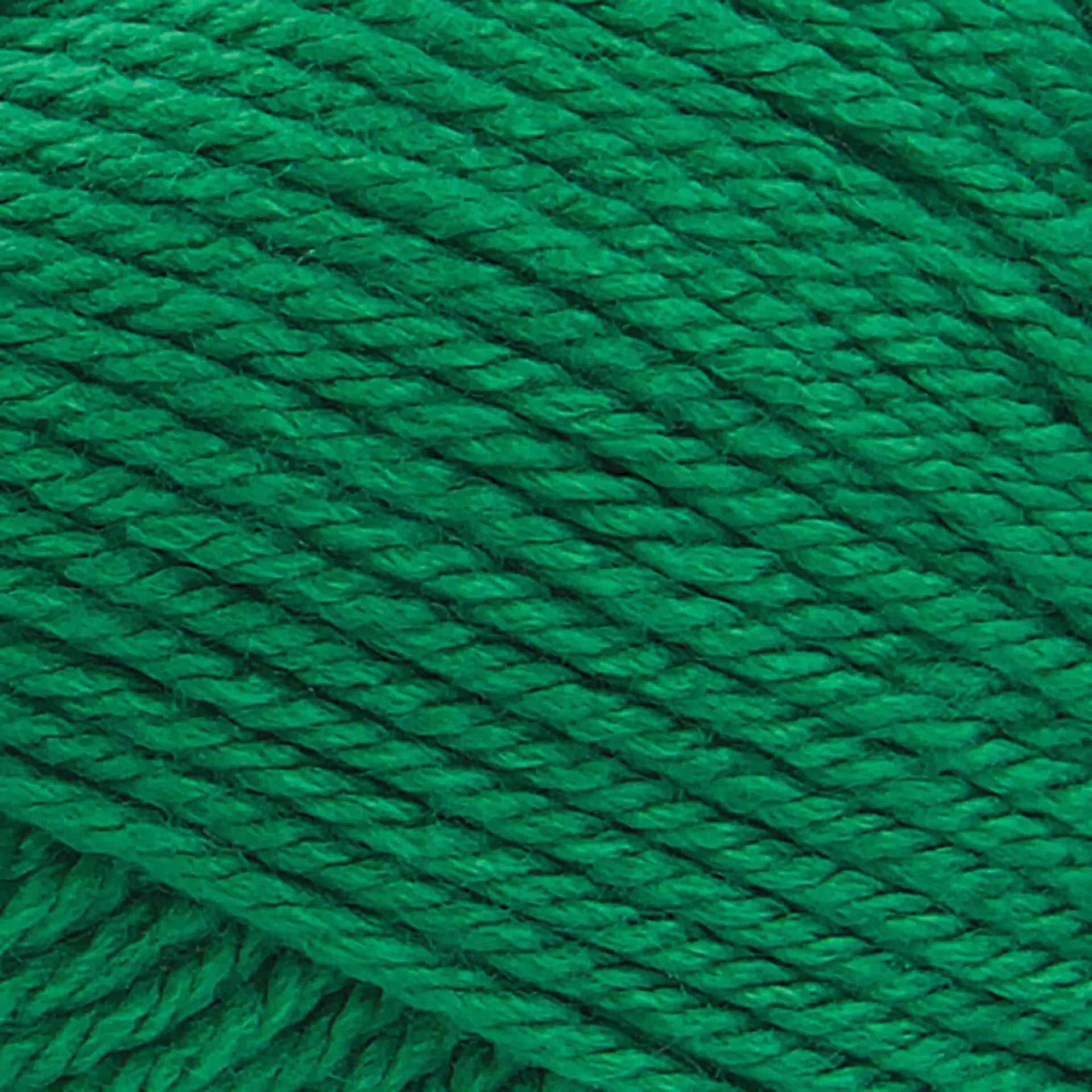 Lion Brand Basic Stitch Anti-Pilling Yarn - Grass, close-up