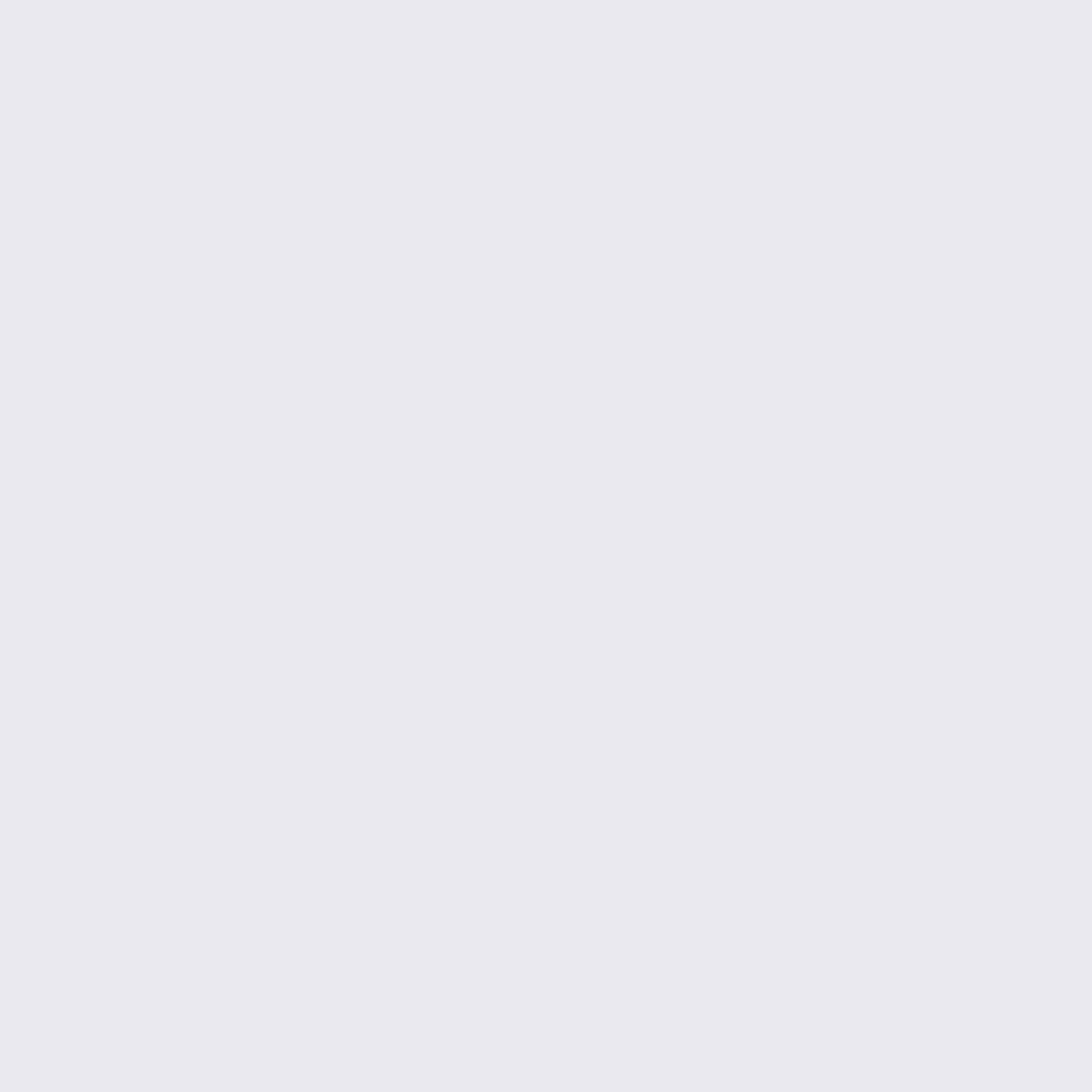 Acrylic Leather Paint Mist
