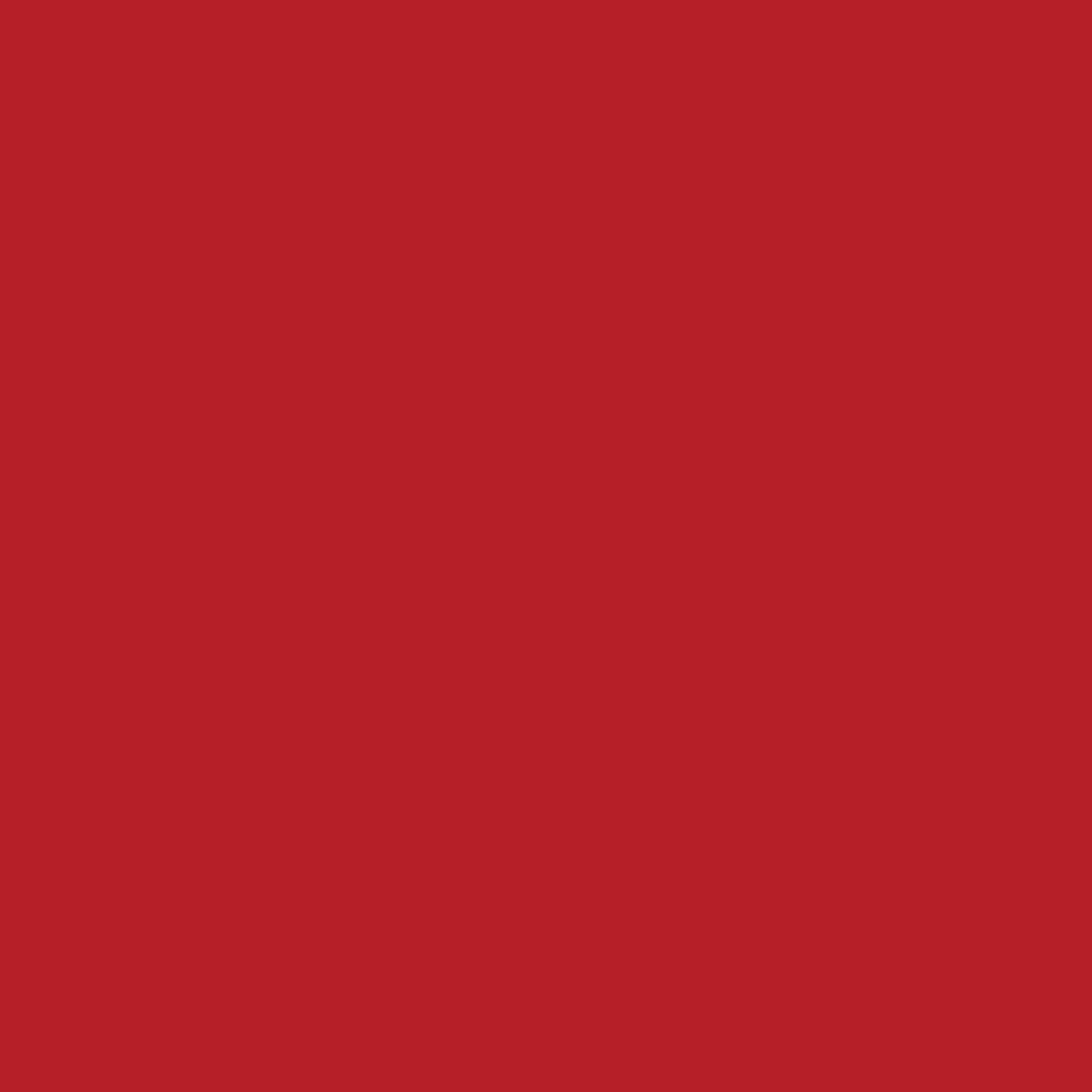 Acrylic Leather Paint Scarlet