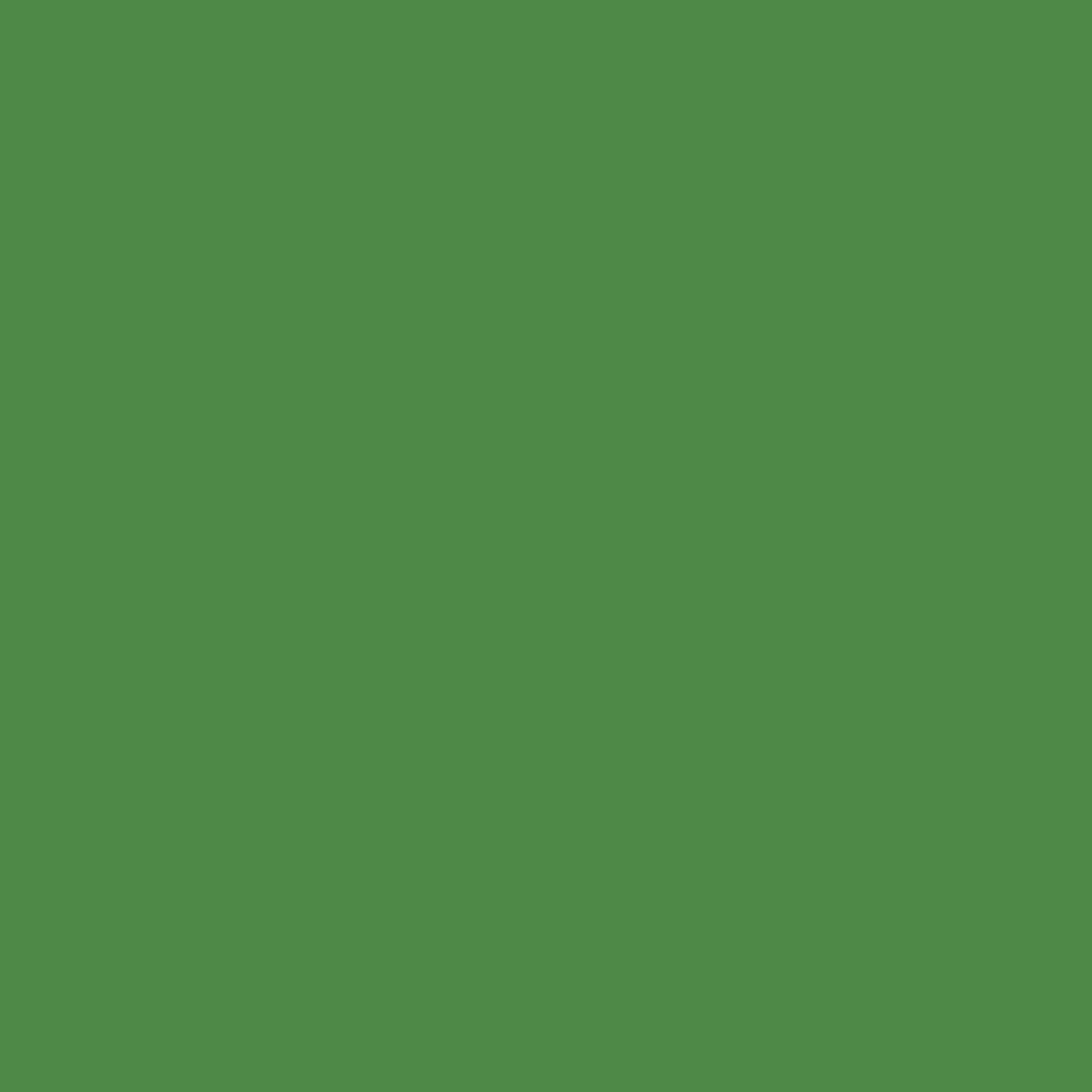 Angelus Leather Dyes Kelly Green - 3 oz. Dauber Bottle