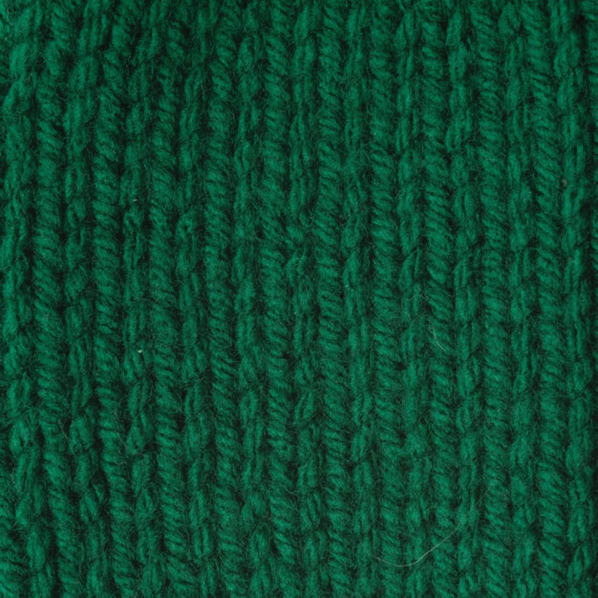 Caron One Pound Acrylic Yarn - 1 lb, 4-Ply, Kelly Green, Knitted