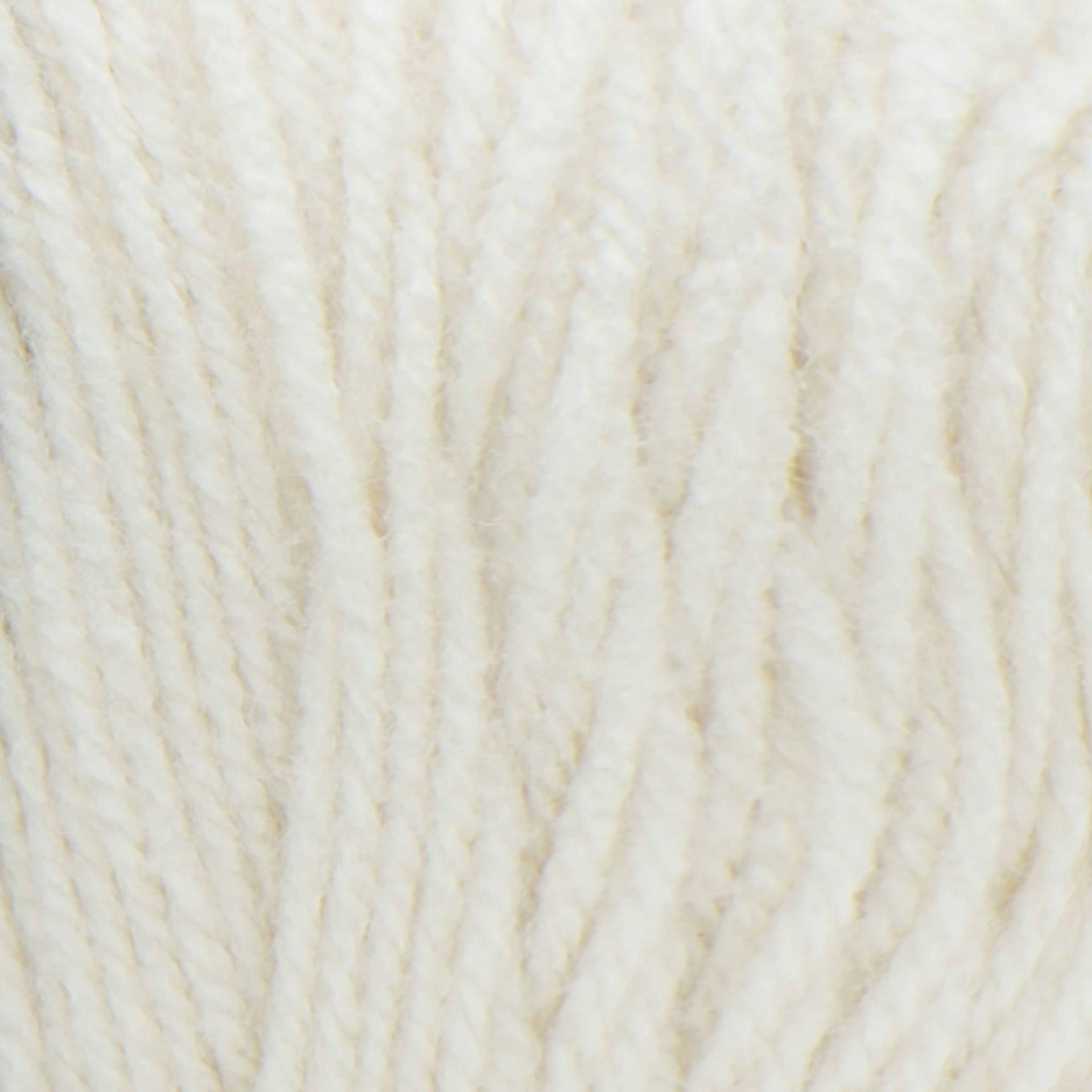 Red Heart Super Saver Yarn - Aran close-up