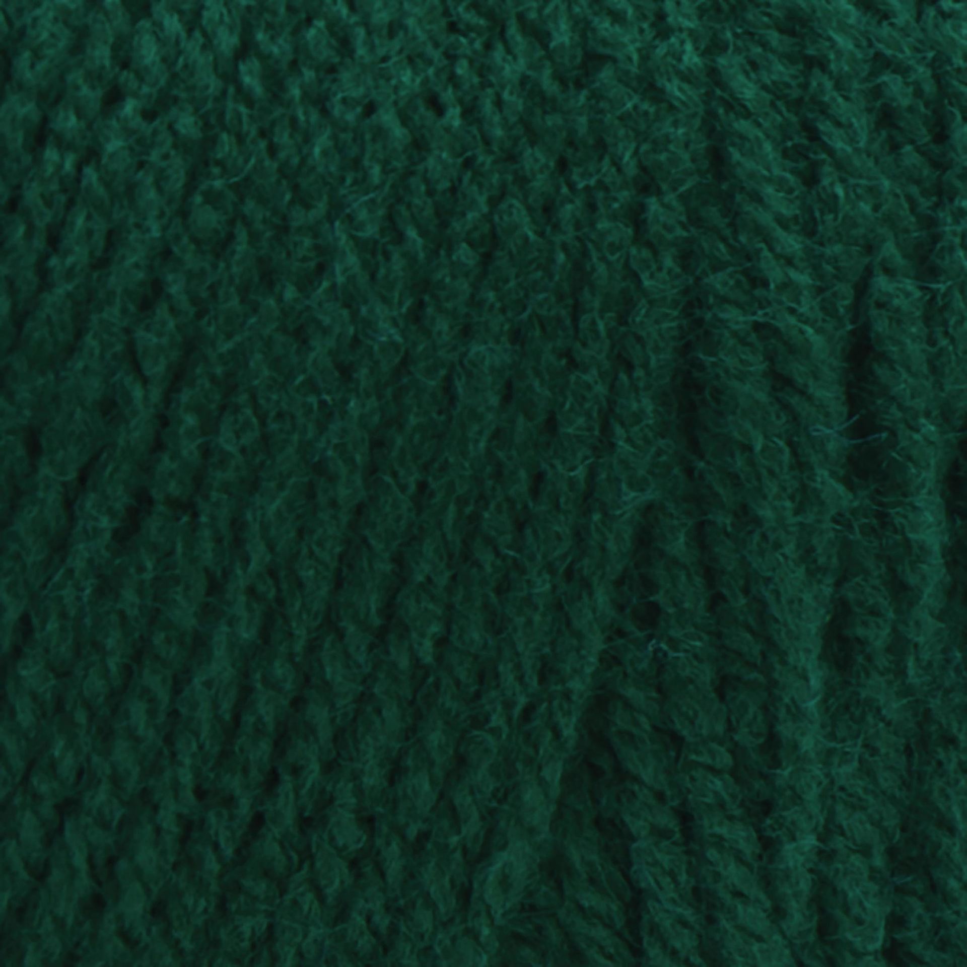 Red Heart Super Saver Yarn - Paddy Green, close-up