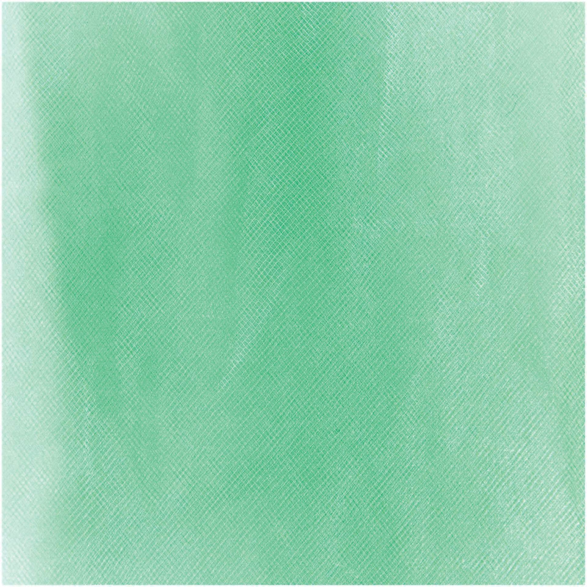 Rico Design Tulle - Green, 50 cm x 5 m