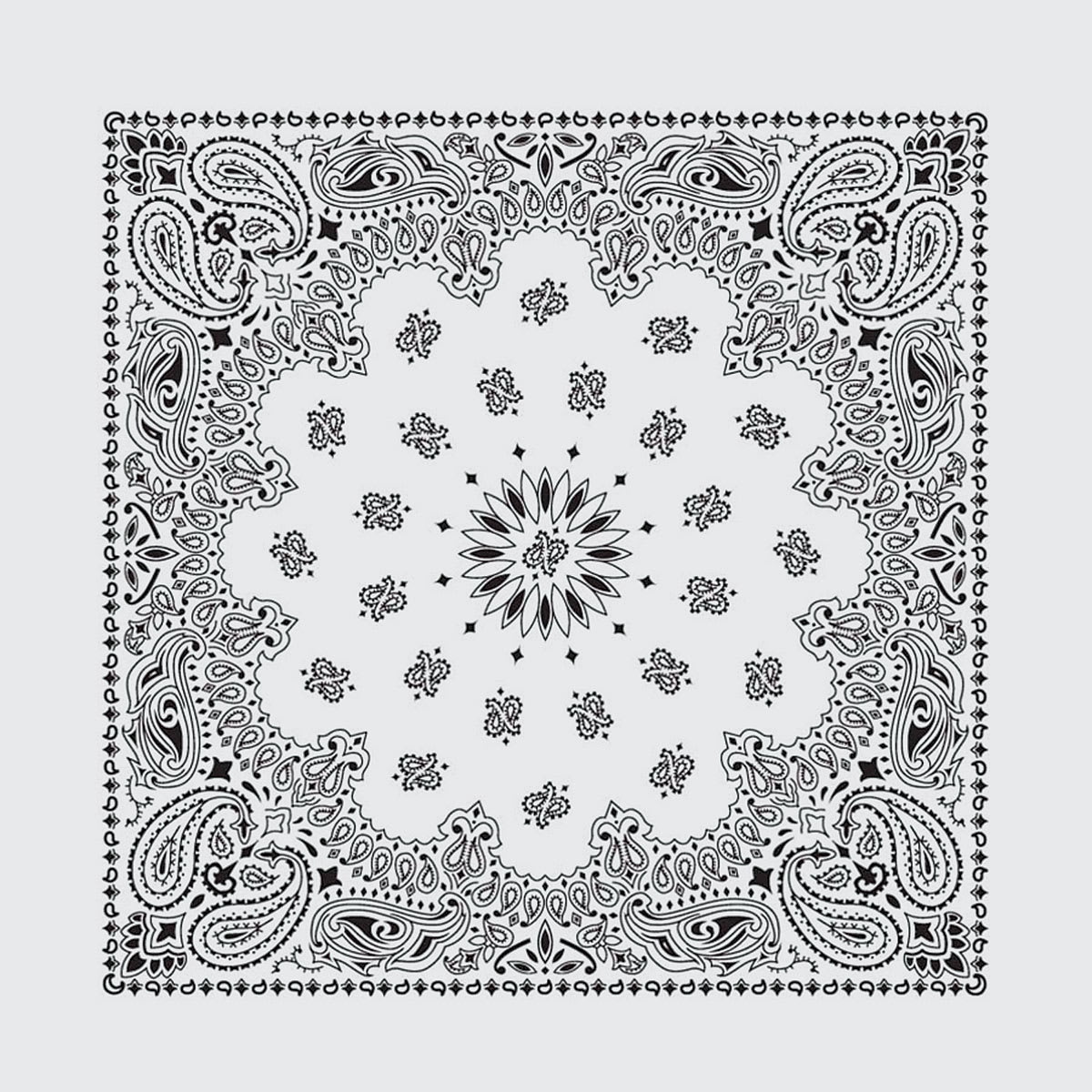 Hav-A-Hank Paisley Bandana - White, 22" W x 22" L