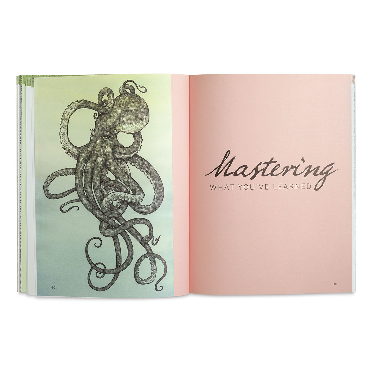 Portfolio: Beginning Pen & Ink - Beginning of chapter on Mastering What You've Learned
