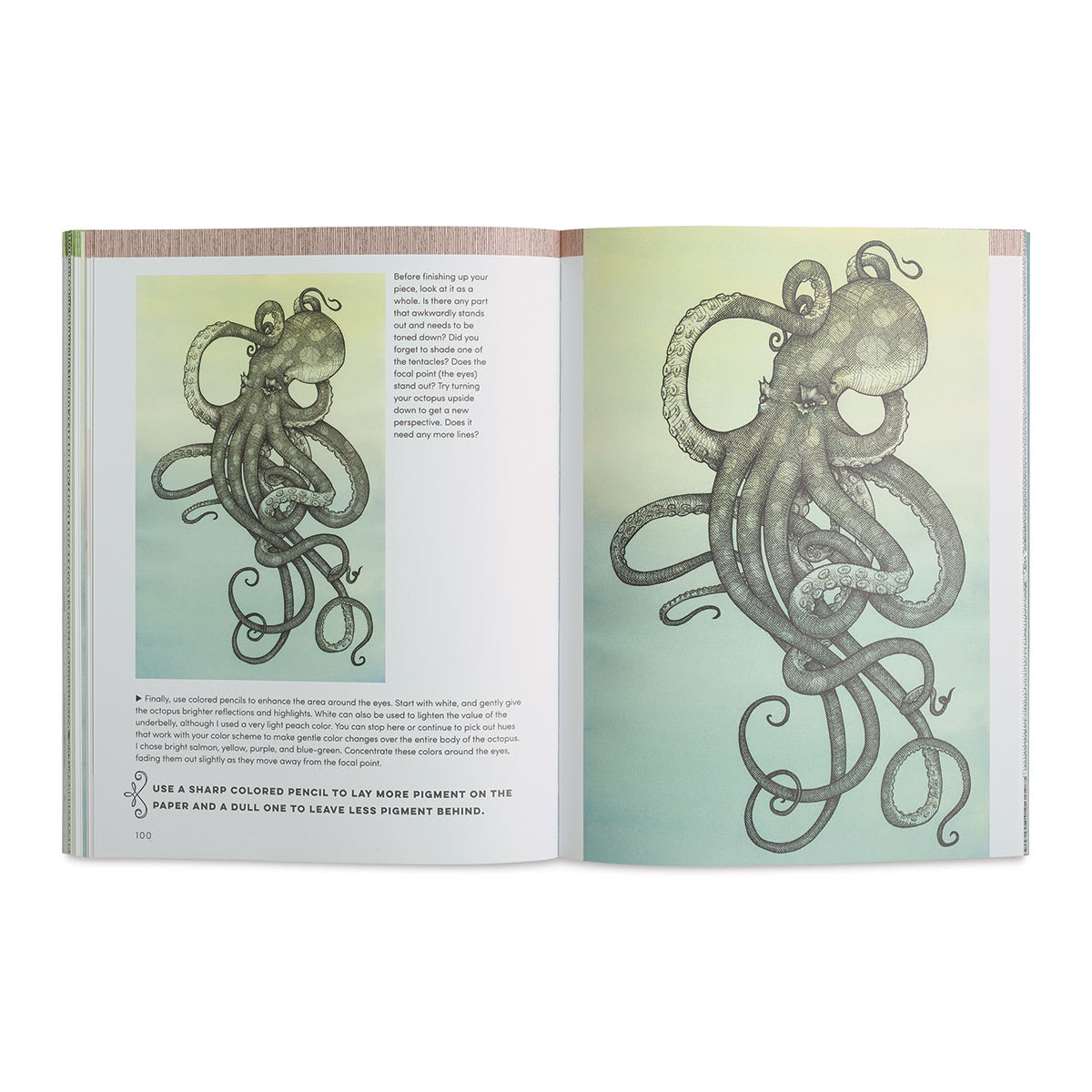 Portfolio: Beginning Pen & Ink - Finished Octopus drawings
