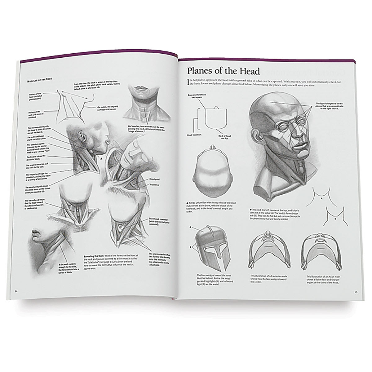 The Art of Drawing & Painting Portraits - Spread titled Planes of the Head
