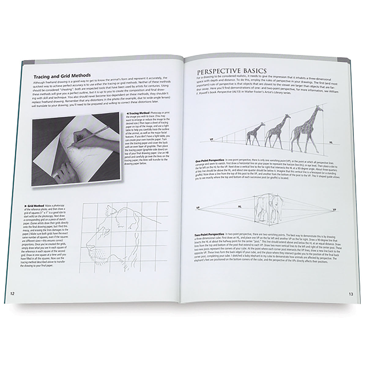 Drawing Made Easy: Lifelike Animals