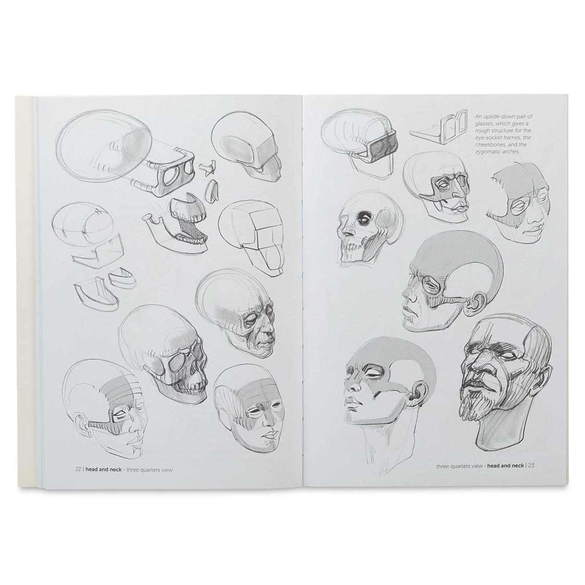 Anatomy for Artists Skeleton and Bone Reference Points - Spread on Skull