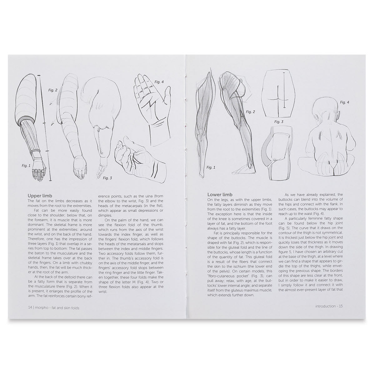 Anatomy for Artists Fat and Skin Folds - Sketches of Arms and Legs
