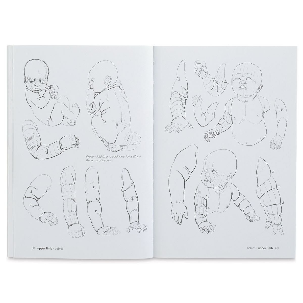 Anatomy for Artists Fat and Skin Folds - Sketches of chubby babies
