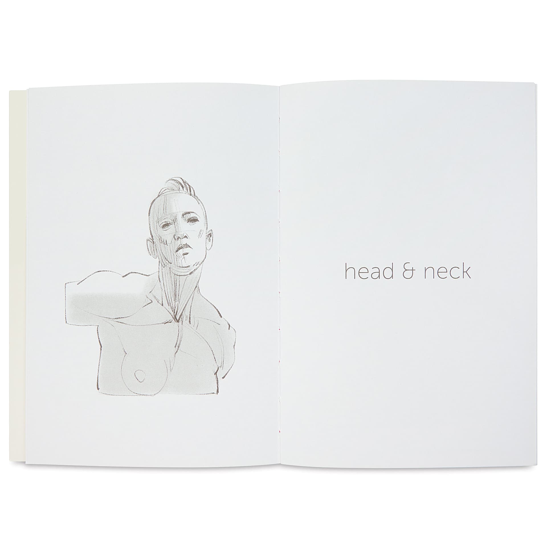 Anatomy for Artists Muscled Bodies, head and neck