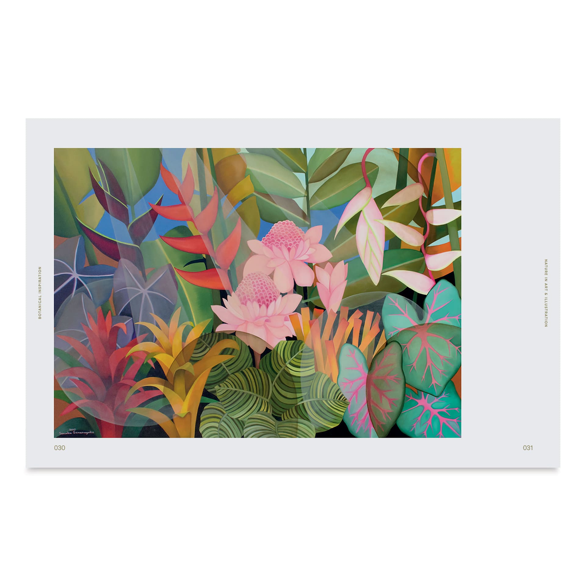 Botanical Inspiration, botanical artwork