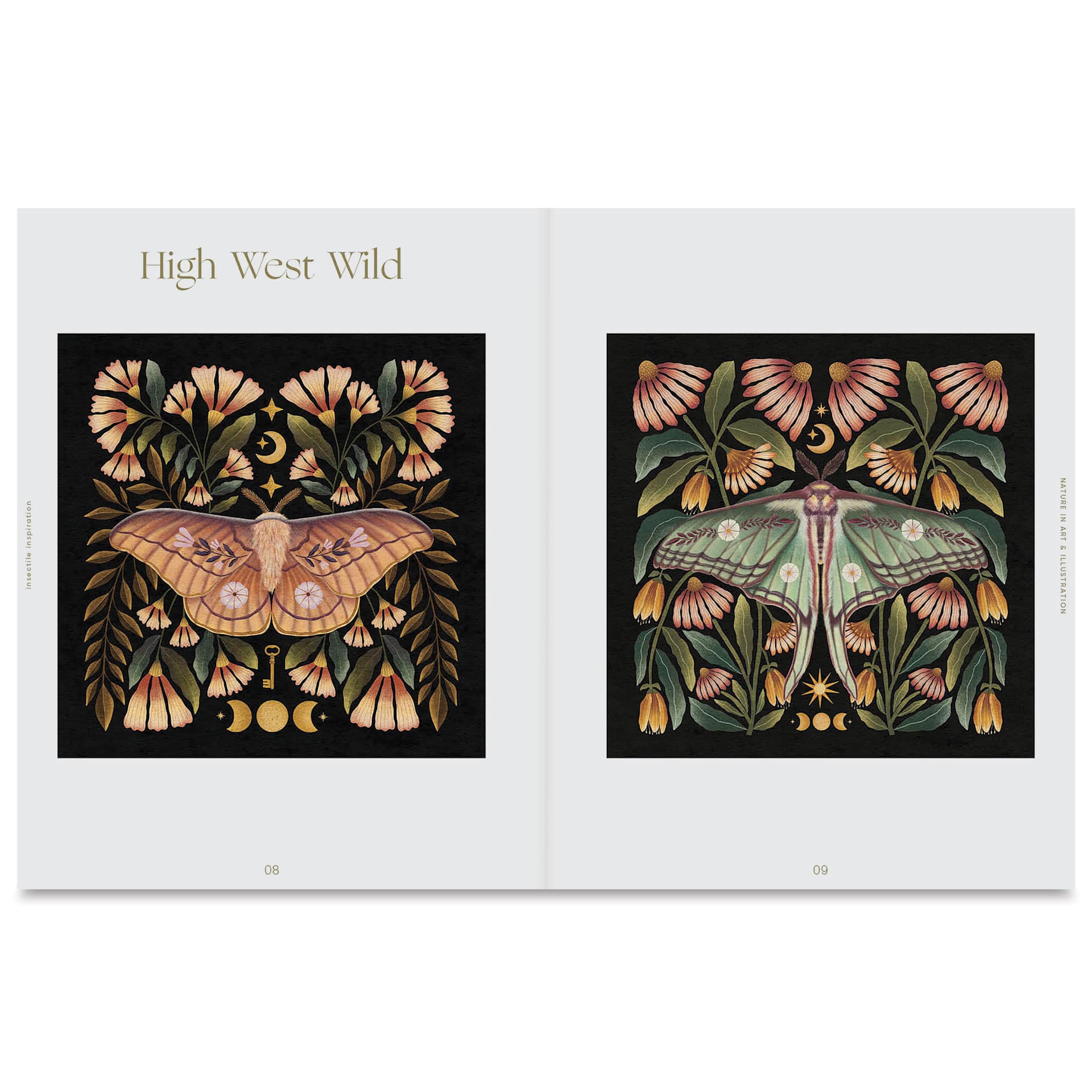 Insectile Inspiration, moths