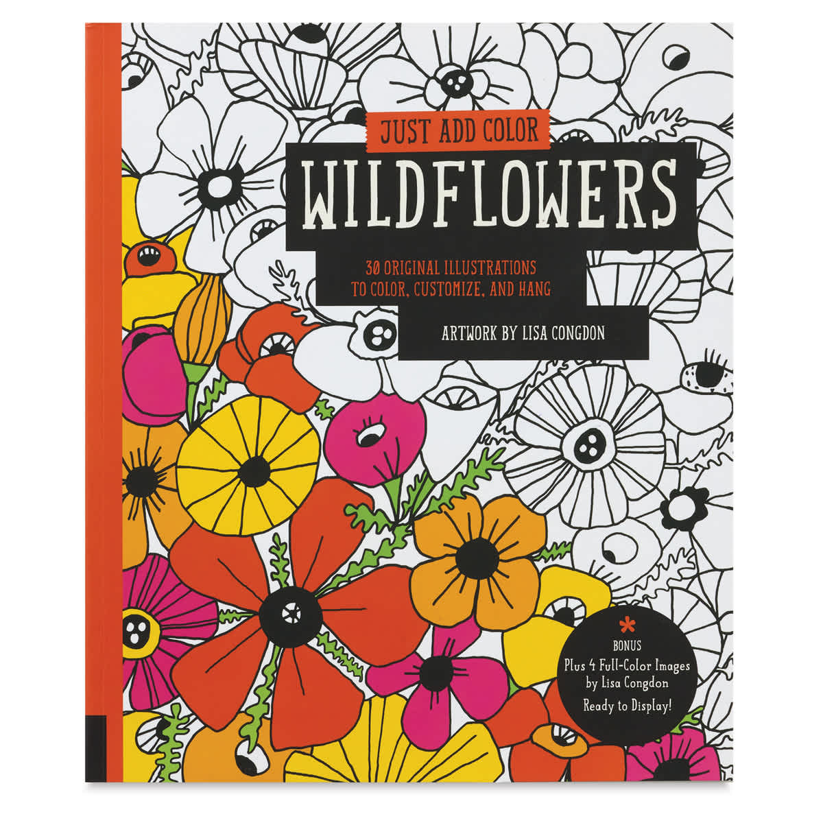 Just Add Color Series Coloring Books