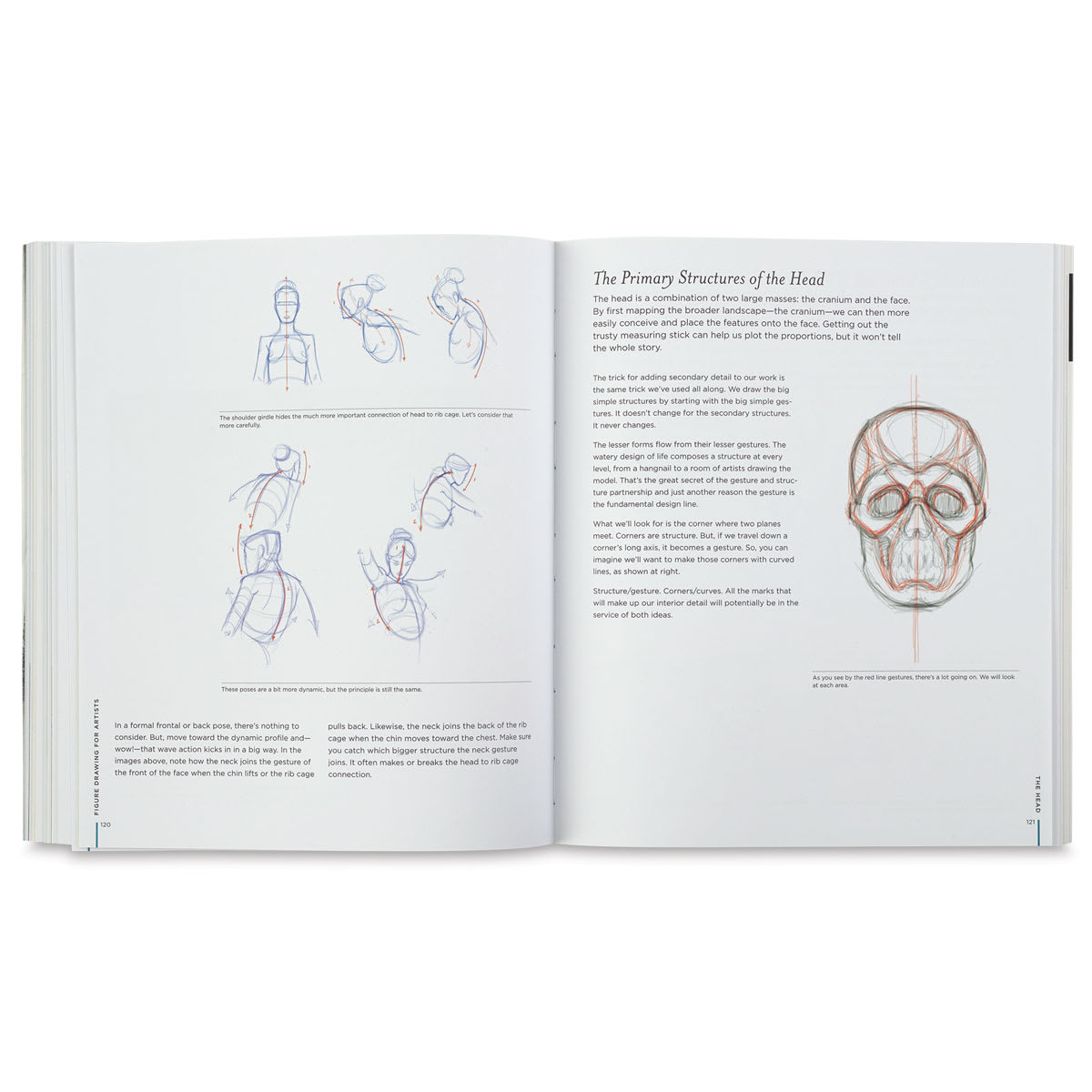 Figure Drawing for Artists: Making Every Mark Count - Primary Structures of Head
