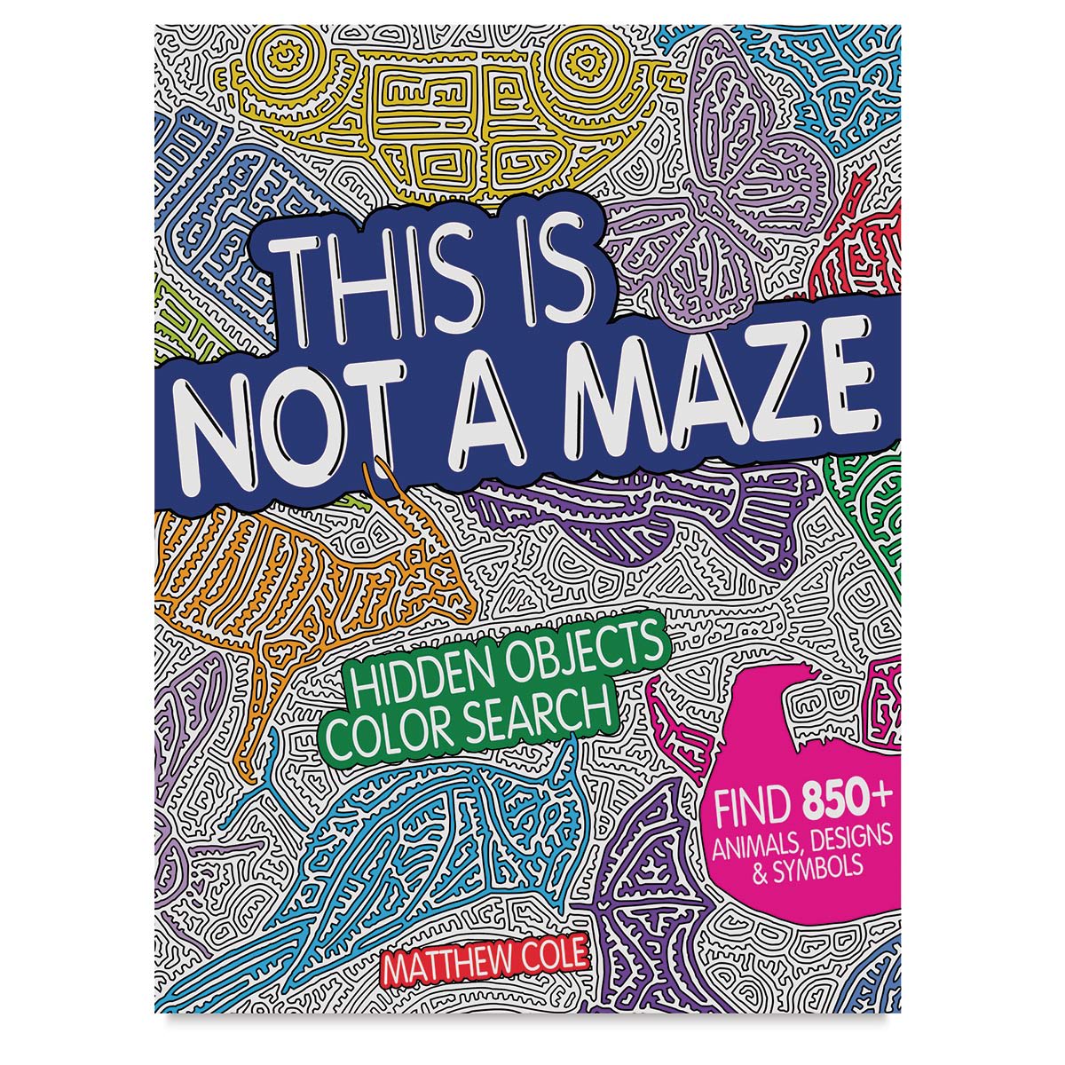 This is Not a Maze: Hidden Objects Color Search - Front cover of Book
