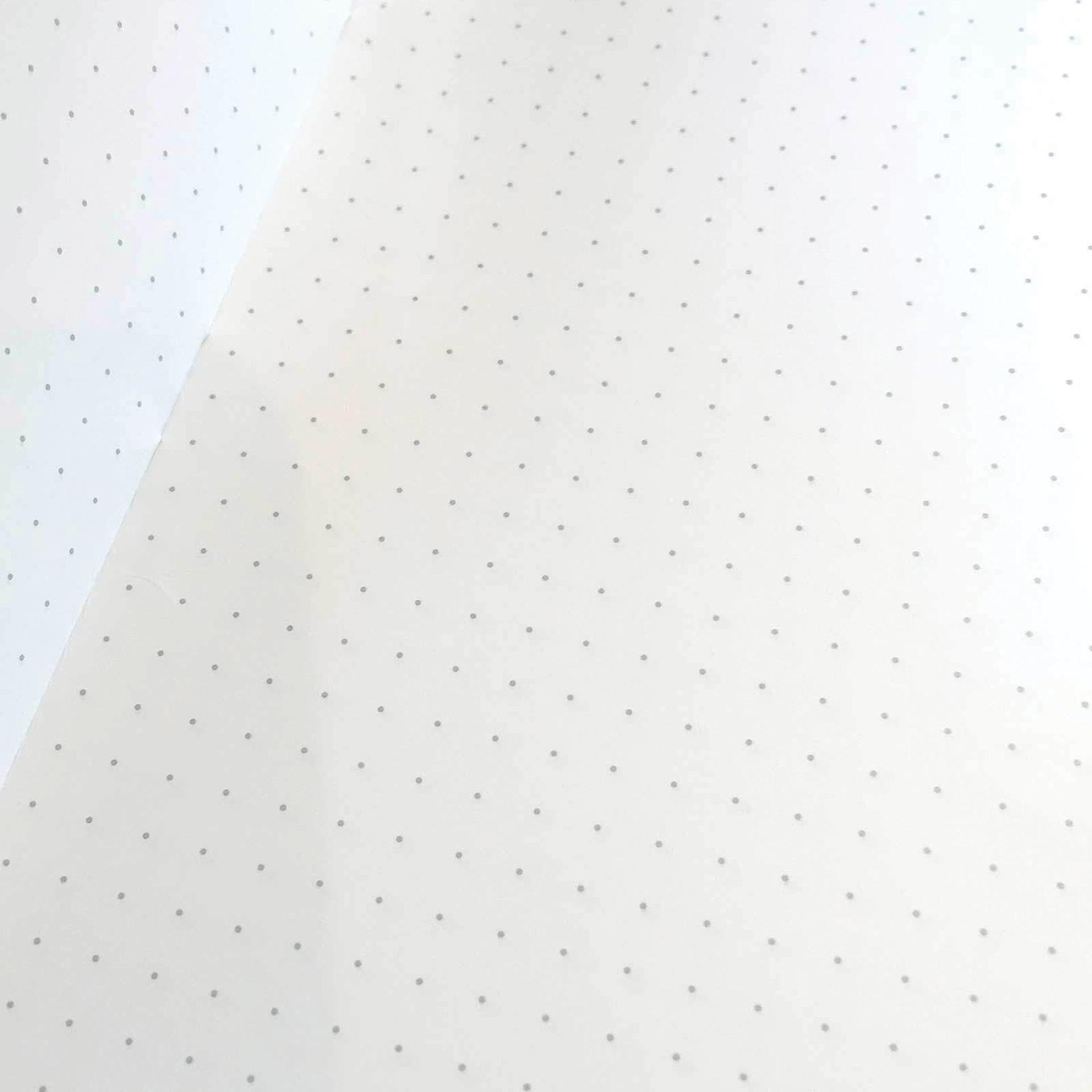 Field Notes Expedition Dot Grid Memo Notebooks - Dot Grid, 3-1/2" x 5-1/2", 48 Pages, inside sheet