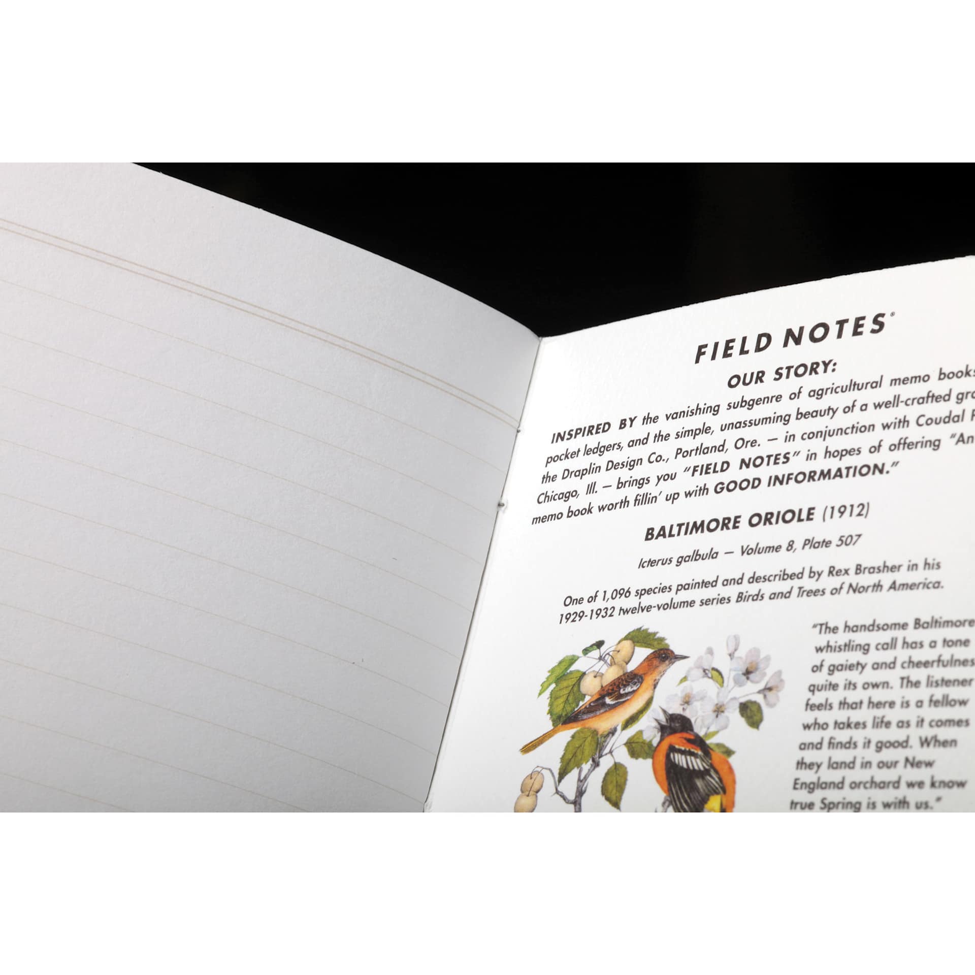 Field Notes Birds and Trees of North America Notebooks - Ruled, 3-1/2" x 5-1/2", 48 Pages, Pkg of 3, close-up of open notebook